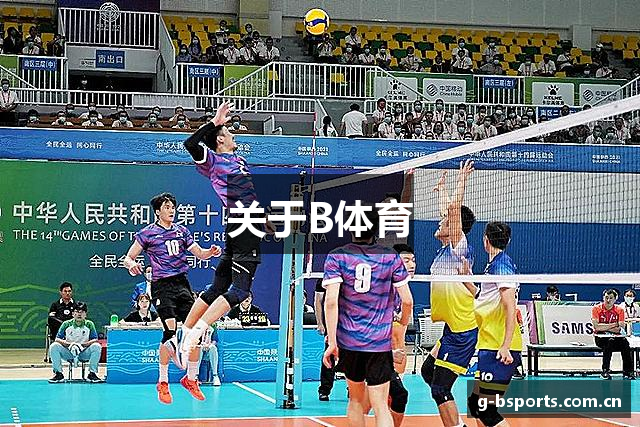 关于B体育